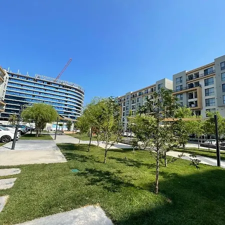 Wow Onix Blue Mamaia Nord *