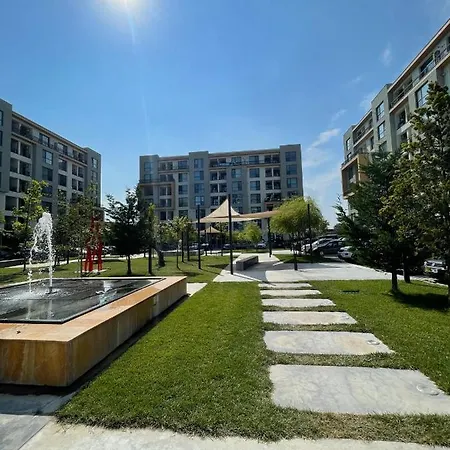 Wow Onix Blue Mamaia Nord *