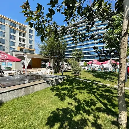 Wow Onix Blue Mamaia Nord